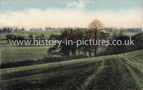 Copped Hall from the High Road, Epping. Essex. c.1910